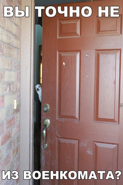 Прикольные фотомемы (27 фото) Прикольные фотомемы (27 фото)