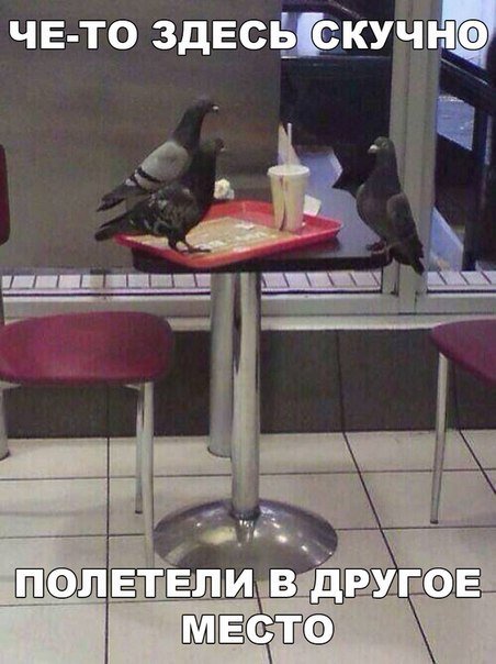 Прикольные фотомемы (27 фото) Прикольные фотомемы (27 фото)