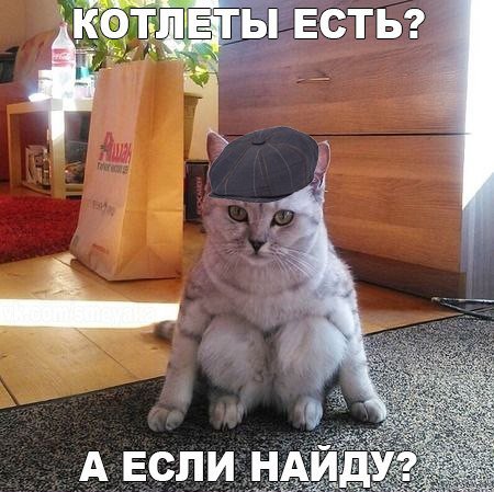 КОТОприколы для поднятия настроения (29 шт) КОТОприколы для поднятия настроения (29 шт)