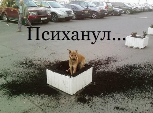 Новые прикольные фотомемы, которые вызовут улыбку (27 шт)