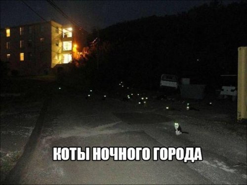 Новые прикольные фотомемы, которые вызовут улыбку (27 шт)