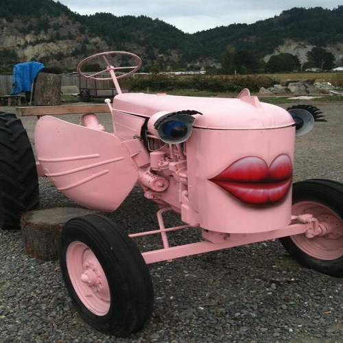 Прикольные фото и картинки (57 шт) Прикольные фото и картинки (57 шт)