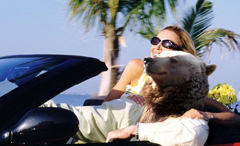 Отдыхающий медведь и фотожабы на него (16 фото) Отдыхающий медведь и фотожабы на него (16 фото)