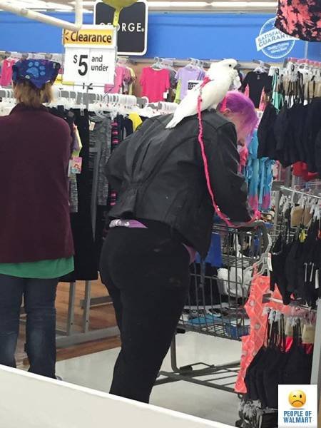 Чудаки и чудачества в Walmart (28 фото) Чудаки и чудачества в Walmart (28 фото)
