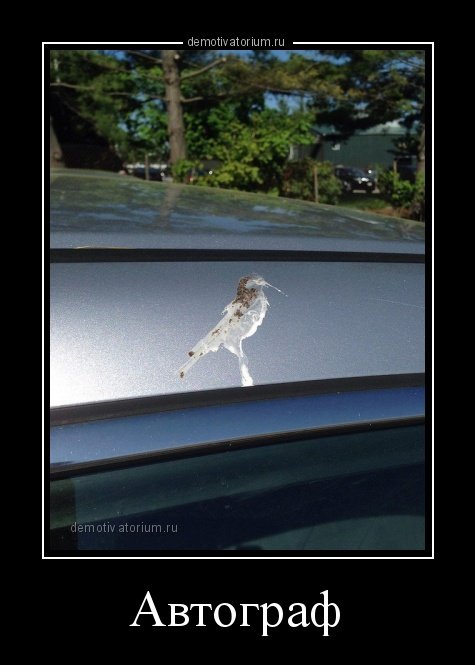 Новые демотиваторы на любой вкус (23 шт) Новые демотиваторы на любой вкус (23 шт)