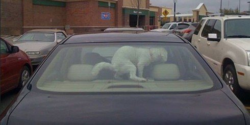 Неудачный день в картинках (32 фото) Неудачный день в картинках (32 фото)