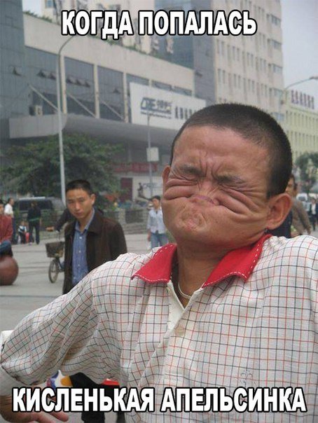 Новые прикольные фотомемы (25 шт) Новые прикольные фотомемы (25 шт)