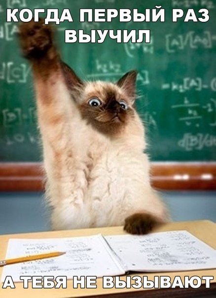 Новые прикольные фотомемы (25 шт) Новые прикольные фотомемы (25 шт)