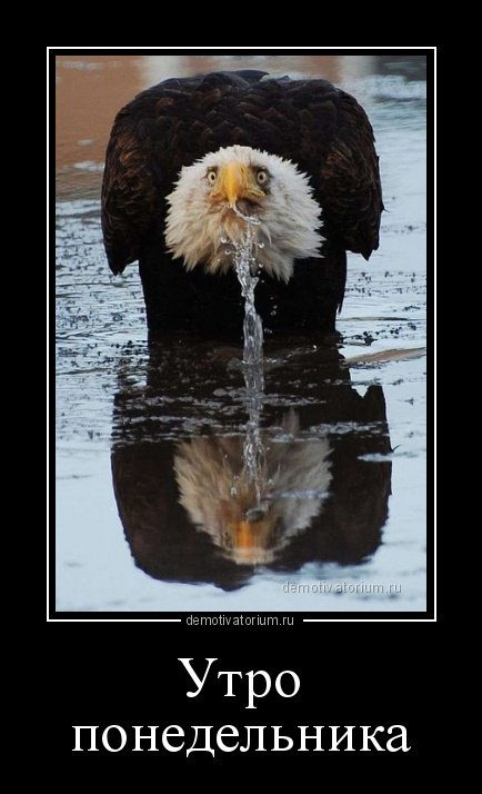 Свежие демотиваторы (23 шт) Свежие демотиваторы (23 шт)