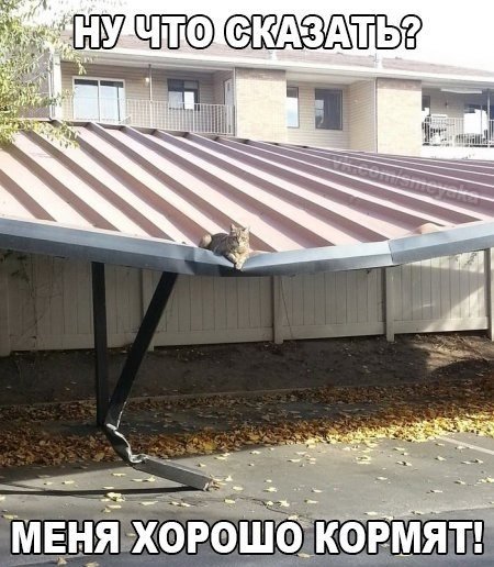 Новые прикольные фотомемы (24 шт) Новые прикольные фотомемы (24 шт)