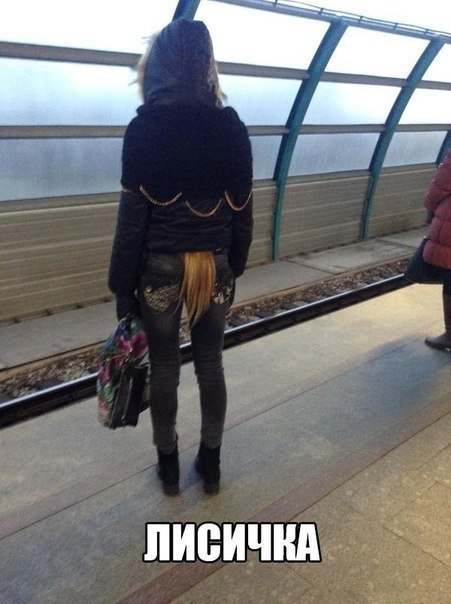 Новые прикольные фотомемы (24 шт) Новые прикольные фотомемы (24 шт)