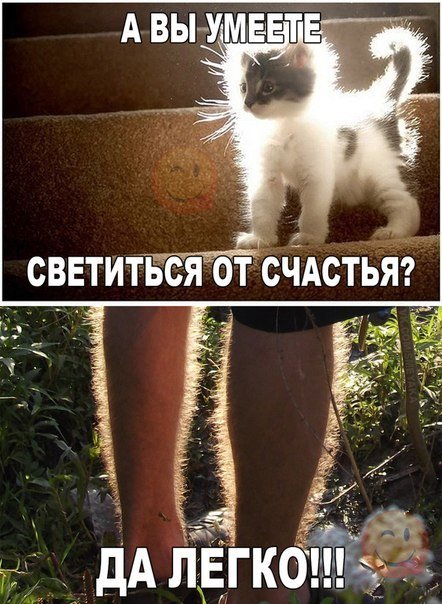 Новые прикольные фотомемы (24 шт) Новые прикольные фотомемы (24 шт)