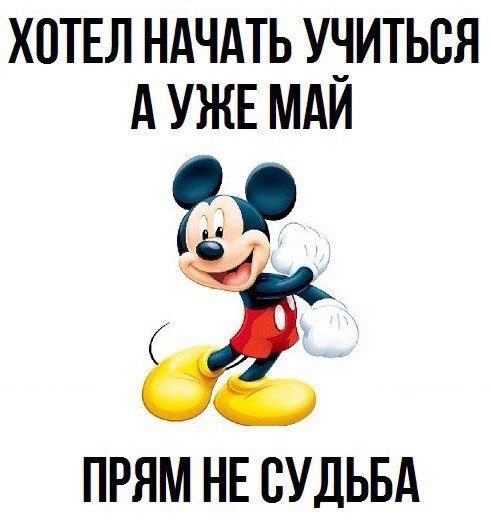 Новые прикольные фотомемы (24 шт) Новые прикольные фотомемы (24 шт)