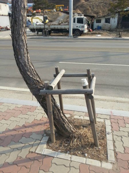 Странности в фотографиях (23 фото) Странности в фотографиях (23 фото)