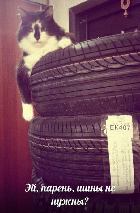 Фотоприколы на автотематику на Бугаге (21 шт) Фотоприколы на автотематику на Бугаге (21 шт)