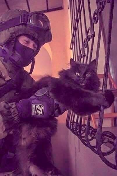 Свежие прикольные картинки (54 шт) Свежие прикольные картинки (54 шт)