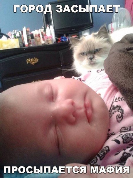 Новые фотомемы (21 шт) Новые фотомемы (21 шт)