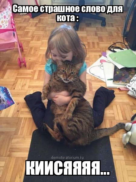 Новые фотомемы (21 шт) Новые фотомемы (21 шт)