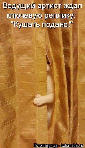 Свежая котоматрица на Бугаге (36 фото) Свежая котоматрица на Бугаге (36 фото)