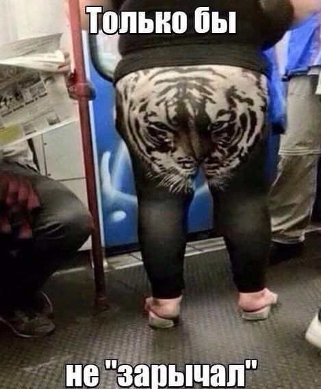 Три десятка прикольных картинок (30 шт) Три десятка прикольных картинок (30 шт)