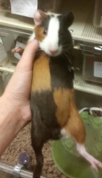 Посмеялся сам - поделись с другом!!!