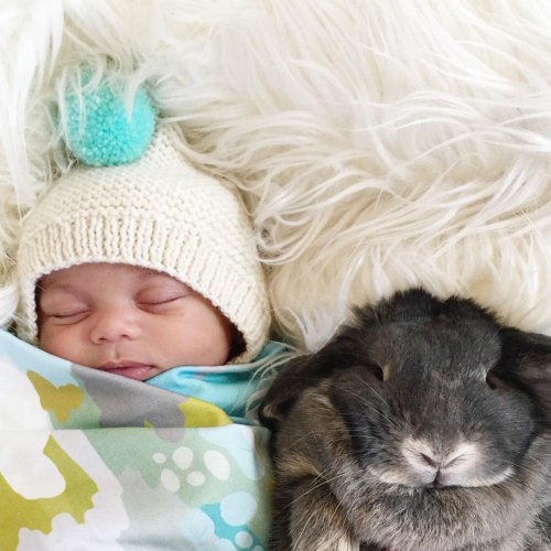 Очаровательные малыши и кролики в фотографиях Линдси Боннис (8 фото)