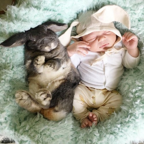 Очаровательные малыши и кролики в фотографиях Линдси Боннис (8 фото)