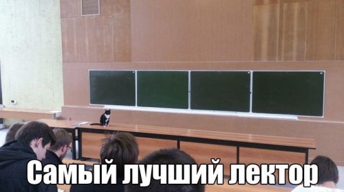 Прикольные картинки обо всем на свете (51 шт)