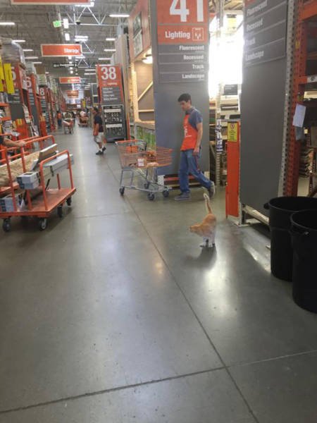 Рабочие приколы и казусы (17 фото) Рабочие приколы и казусы (17 фото)