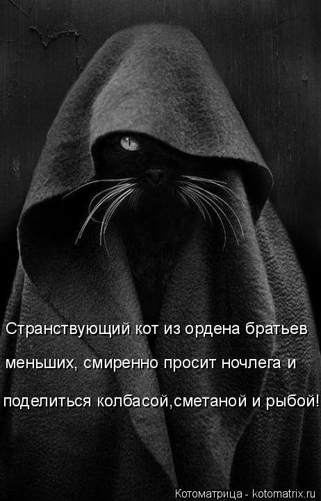 Новая котоматрица, большая коллекция (43 фото) Новая котоматрица, большая коллекция (43 фото)