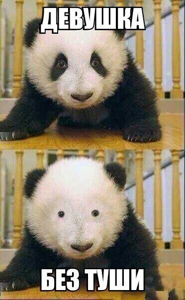 Прикольные картинки скрасят понедельник! (27 шт) Прикольные картинки скрасят понедельник! (27 шт)