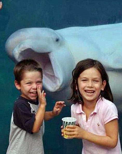 Прикольные фотобомбы с животными (25 фото) Прикольные фотобомбы с животными (25 фото)