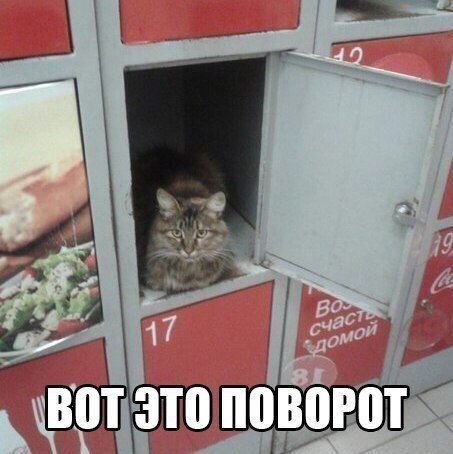 Прикольные фотомемы для хорошего настроения (22 шт) Прикольные фотомемы для хорошего настроения (22 шт)