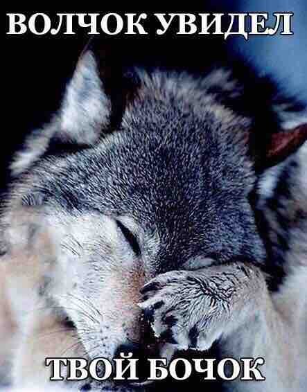 Новые фотомемы на Бугаге (21 шт) Новые фотомемы на Бугаге (21 шт)