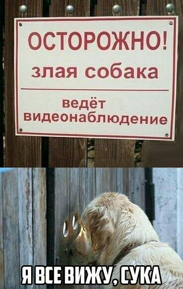 Прикольные картинки в пятницу (46 шт) Прикольные картинки в пятницу (46 шт)