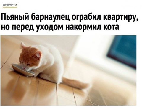 Прикольные картинки в пятницу (46 шт) Прикольные картинки в пятницу (46 шт)