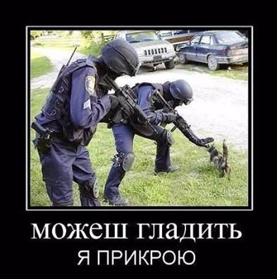 Прикольные картинки для настроения (46 шт) Прикольные картинки для настроения (46 шт)