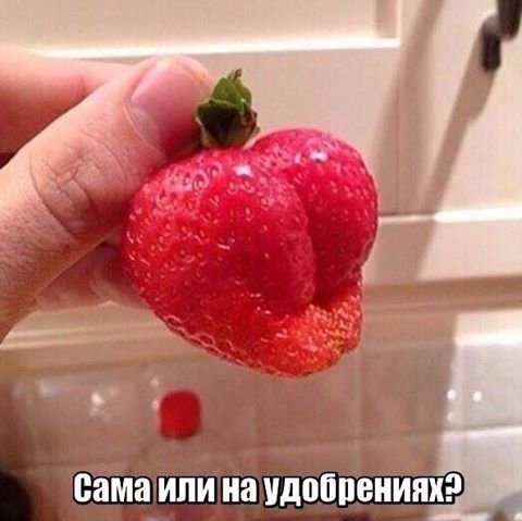 Прикольные картинки для настроения (46 шт) Прикольные картинки для настроения (46 шт)