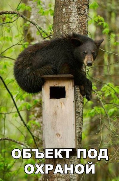 Новые прикольные фотомемы (23 шт) Новые прикольные фотомемы (23 шт)