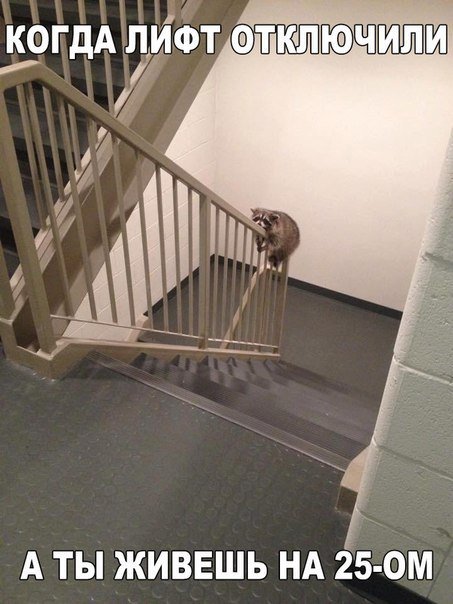 Новые прикольные фотомемы (23 шт) Новые прикольные фотомемы (23 шт)