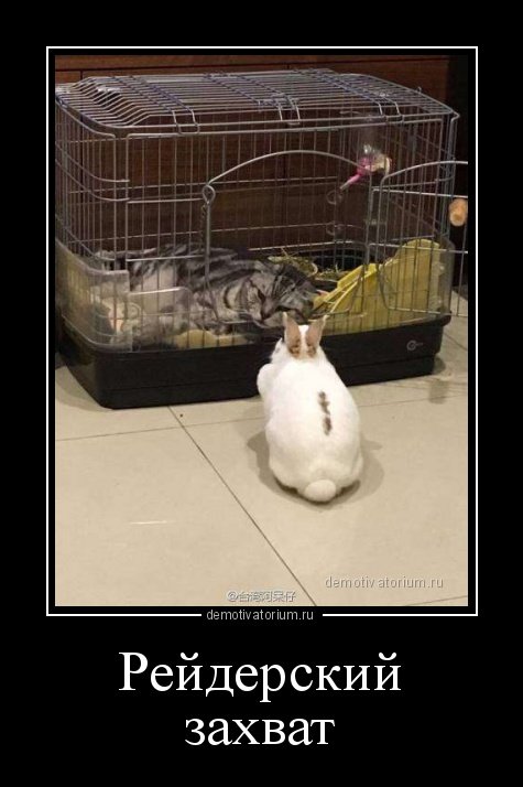 Демотиваторы-приколы для всех (20 шт) Демотиваторы-приколы для всех (20 шт)