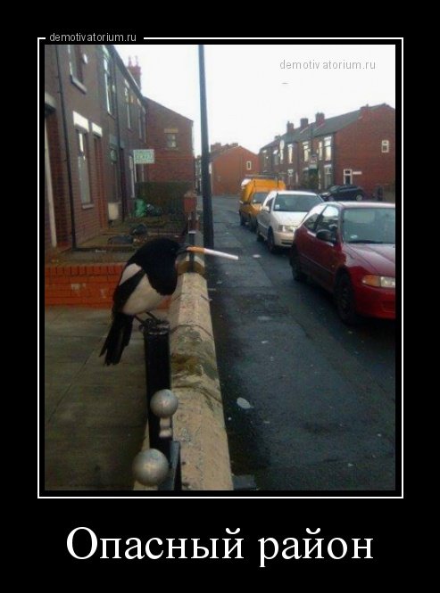 Демотиваторы-приколы для всех (20 шт) Демотиваторы-приколы для всех (20 шт)