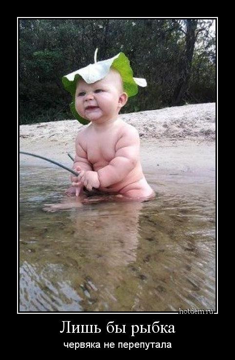 Демотиваторы-приколы (15 шт) Демотиваторы-приколы (15 шт)