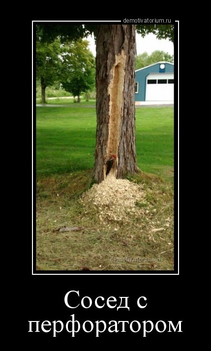 Демотиваторы-приколы (15 шт) Демотиваторы-приколы (15 шт)