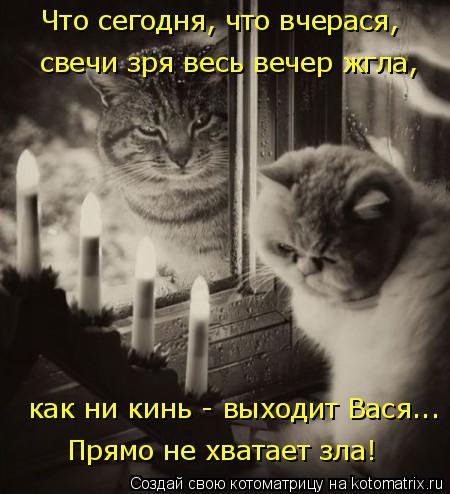 Лучшая котоматрица за неделю (32 фото) Лучшая котоматрица за неделю (32 фото)