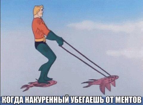 Прикольных картинок вечерний пост (39 шт) Прикольных картинок вечерний пост (39 шт)