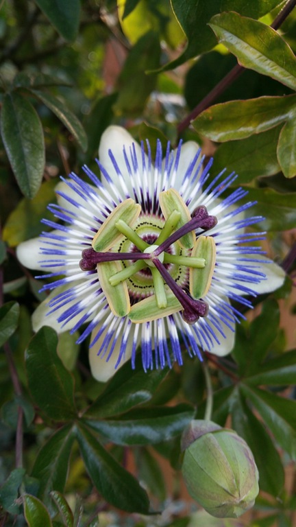 Прикольных картинок вечерний пост (39 шт) Прикольных картинок вечерний пост (39 шт)