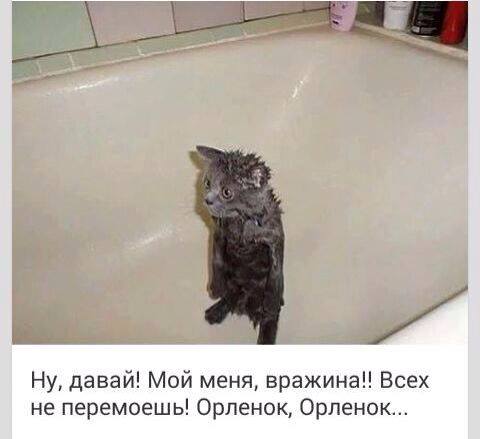 Прикольных картинок вечерний пост (39 шт) Прикольных картинок вечерний пост (39 шт)