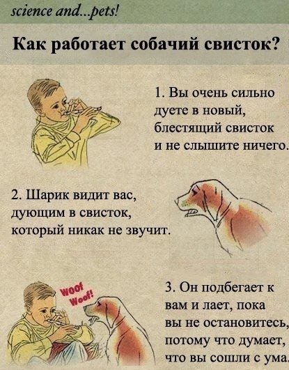 Новые комиксы на Бугаге (19 шт) Новые комиксы на Бугаге (19 шт)