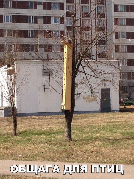 Прикольные фотомемы (25 шт) Прикольные фотомемы (25 шт)